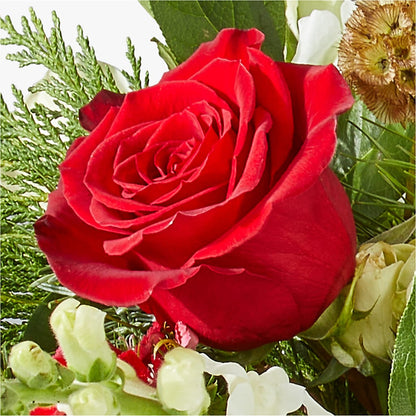 Deck the Halls Bouquet – MERCY'S FLOWERS, Miami FL