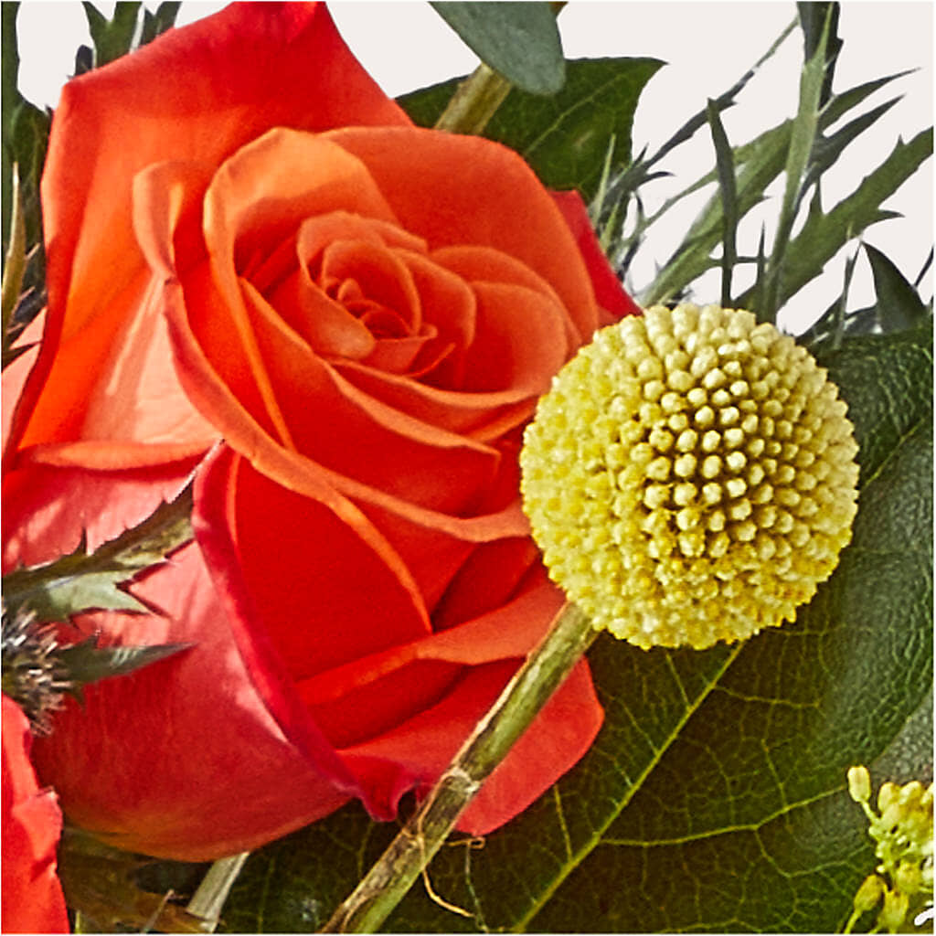Disco Bouquet – MERCY'S FLOWERS, Miami FL