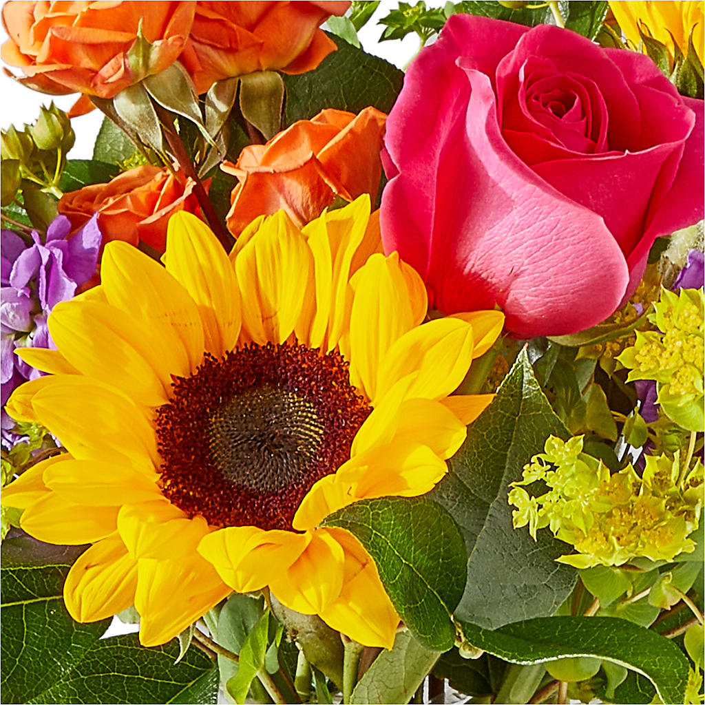 Vibrant Greetings Bouquet – MERCY'S FLOWERS, Miami FL