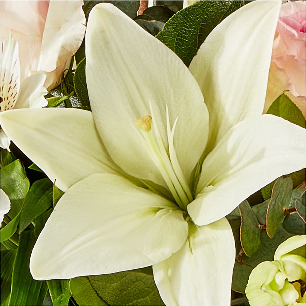 Ballet Slippers Bouquet – MERCY'S FLOWERS, Miami FL