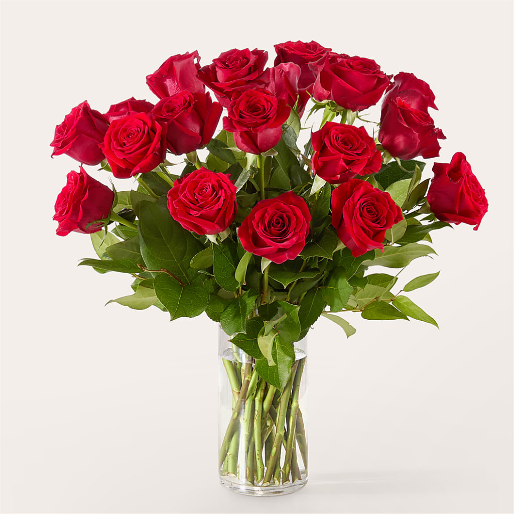The One Red Rose Bouquet – MERCY'S FLOWERS, Miami FL