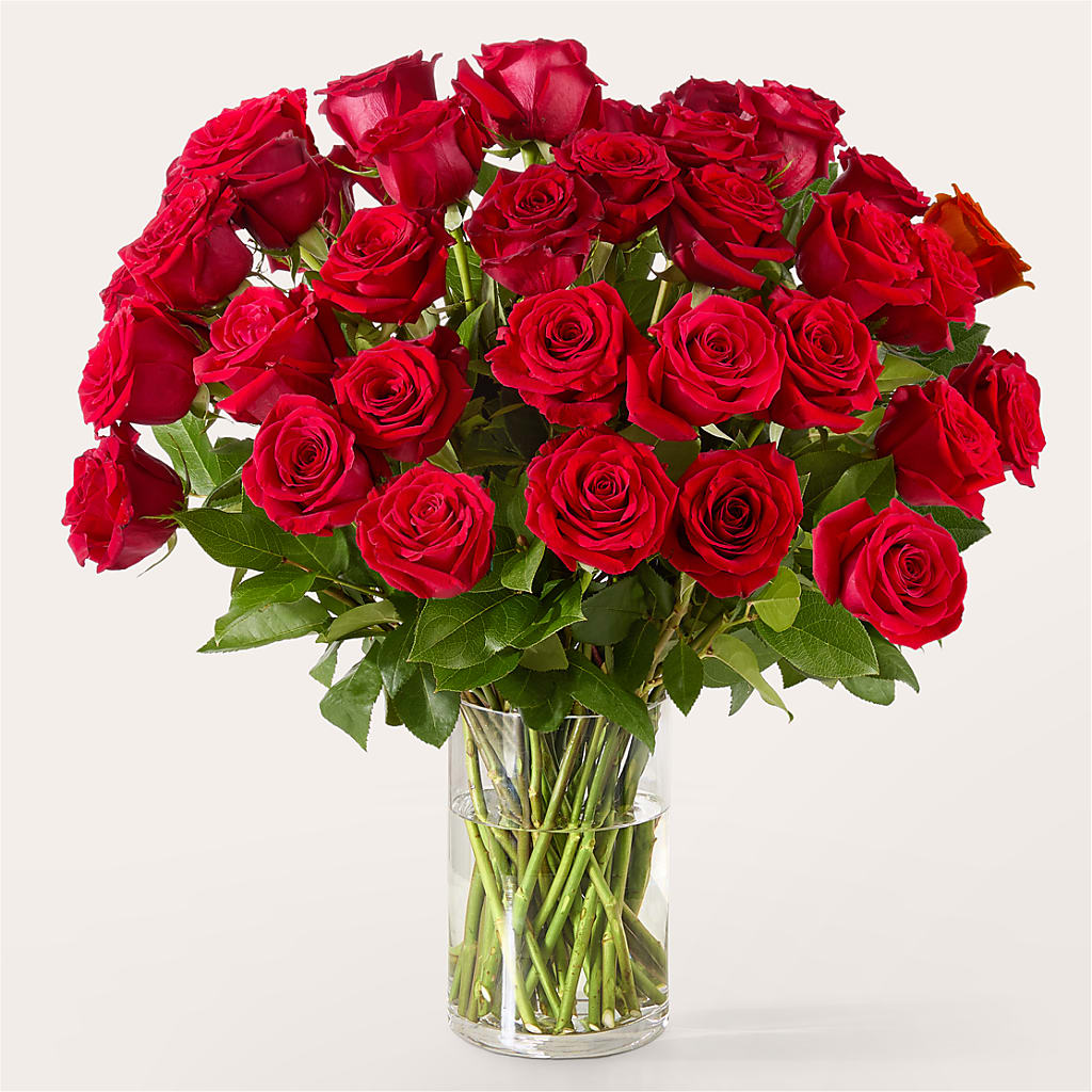 The One Red Rose Bouquet – MERCY'S FLOWERS, Miami FL