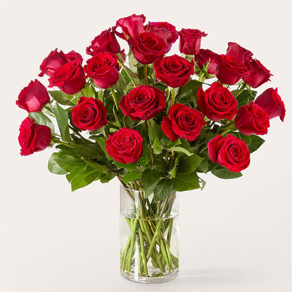 The One Red Rose Bouquet – MERCY'S FLOWERS, Miami FL