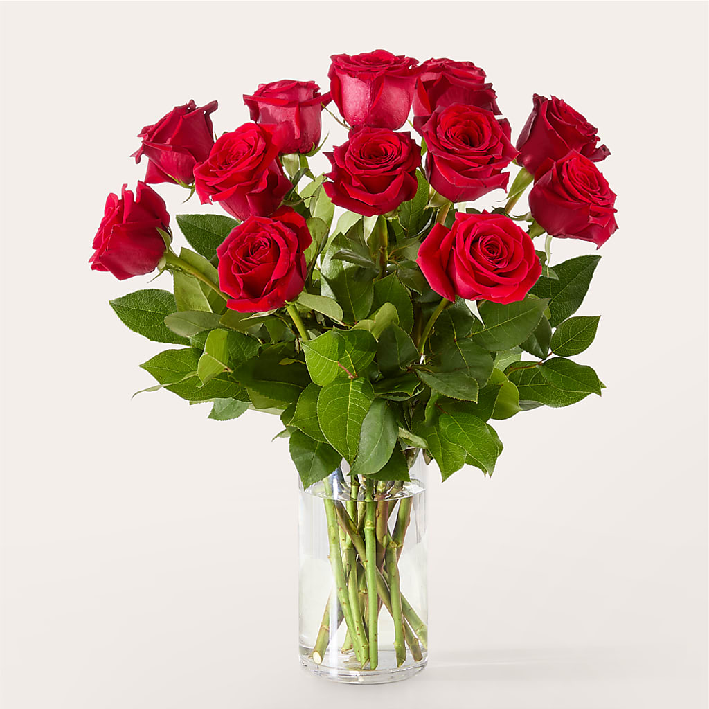 The One Red Rose Bouquet – MERCY'S FLOWERS, Miami FL