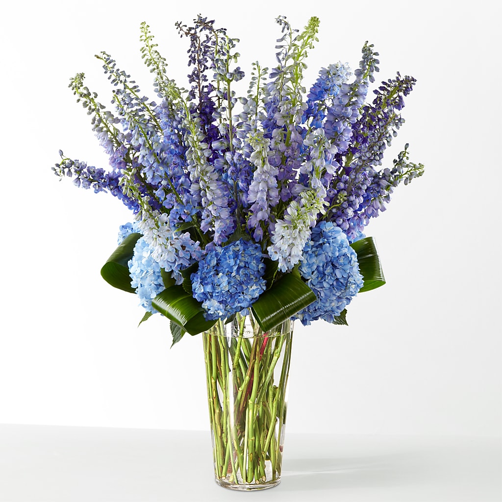 The Editorial – MERCY'S FLOWERS, Miami FL