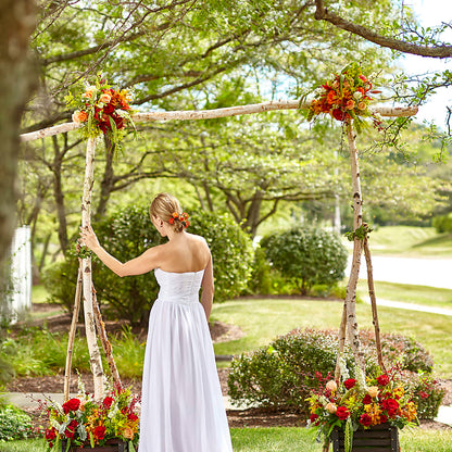 Arbor of Love Archway – MERCY'S FLOWERS, Miami FL