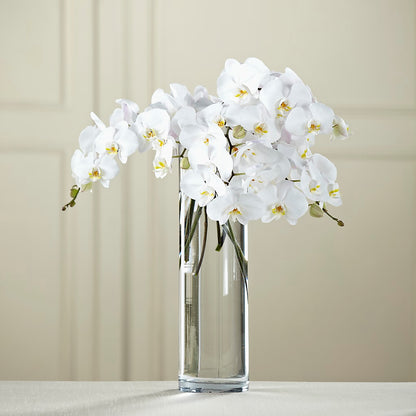 White Phalaenopsis Bouquet – MERCY'S FLOWERS, Miami FL